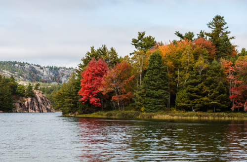 Killarney Park Colours