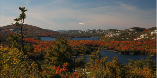 21 Sites, Sights and Things to do in Killarney, Ontario